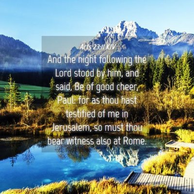 Picture 04 - Acts 23:11 KJV - And the night following the Lord stood by him, - Bible Verse Picture