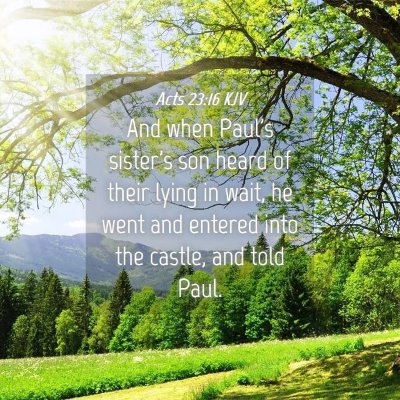 Picture 04 - Acts 23:16 KJV - And when Paul's sister's son heard of their lying - Bible Verse Picture