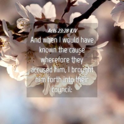 Picture 04 - Acts 23:28 KJV - And when I would have known the cause wherefore - Bible Verse Picture