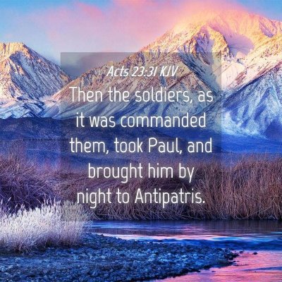 Picture 04 - Acts 23:31 KJV - Then the soldiers, as it was commanded them, took - Bible Verse Picture
