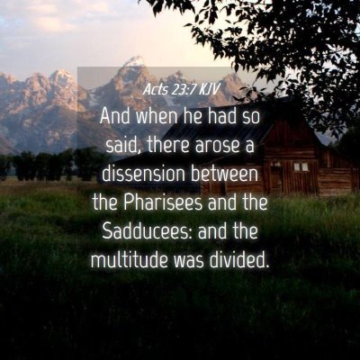 Picture 04 - Acts 23:7 KJV - And when he had so said, there arose a dissension - Bible Verse Picture