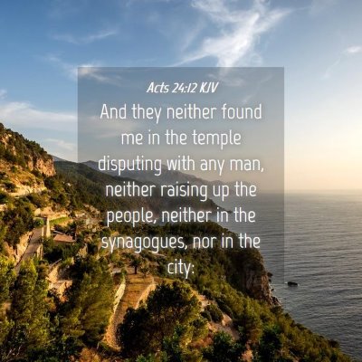 Picture 04 - Acts 24:12 KJV - And they neither found me in the temple disputing - Bible Verse Picture