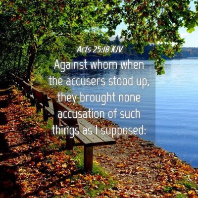 Picture 04 - Acts 25:18 KJV - Against whom when the accusers stood up, they - Bible Verse Picture