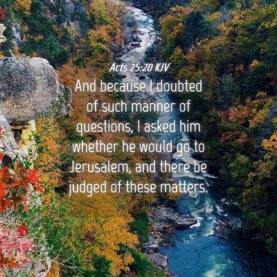 Picture 04 - Acts 25:20 KJV - And because I doubted of such manner of - Bible Verse Picture