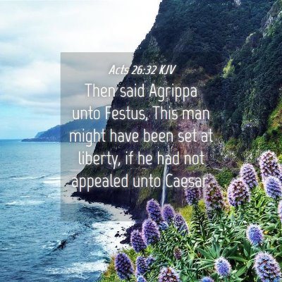 Picture 04 - Acts 26:32 KJV - Then said Agrippa unto Festus, This man might - Bible Verse Picture