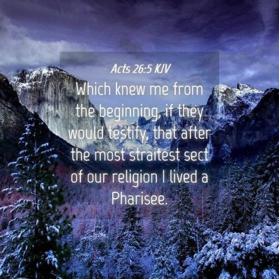 Picture 04 - Acts 26:5 KJV - Which knew me from the beginning, if they would - Bible Verse Picture