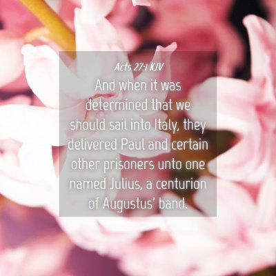 Picture 04 - Acts 27:1 KJV - And when it was determined that we should sail - Bible Verse Picture