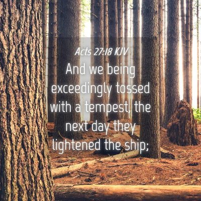 Picture 04 - Acts 27:18 KJV - And we being exceedingly tossed with a tempest, - Bible Verse Picture
