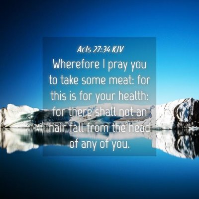 Picture 04 - Acts 27:34 KJV - Wherefore I pray you to take some meat: for this - Bible Verse Picture