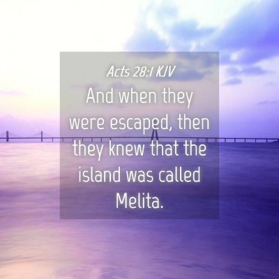Picture 04 - Acts 28:1 KJV - And when they were escaped, then they knew that - Bible Verse Picture