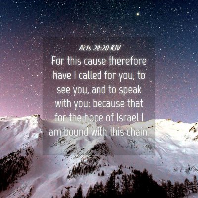 Picture 04 - Acts 28:20 KJV - For this cause therefore have I called for you, - Bible Verse Picture