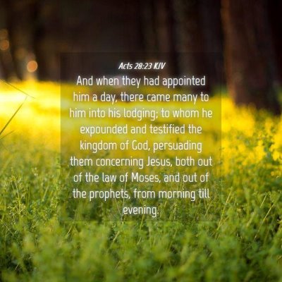 Picture 04 - Acts 28:23 KJV - And when they had appointed him a day, there came - Bible Verse Picture