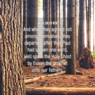 Picture 04 - Acts 28:25 KJV - And when they agreed not among themselves, they - Bible Verse Picture