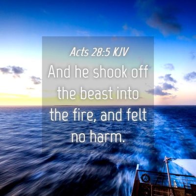 Picture 04 - Acts 28:5 KJV - And he shook off the beast into the fire, and - Bible Verse Picture