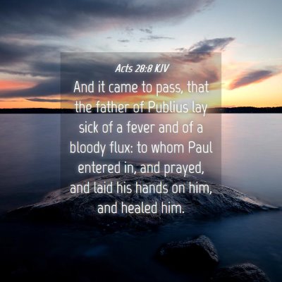 Picture 04 - Acts 28:8 KJV - And it came to pass, that the father of Publius - Bible Verse Picture