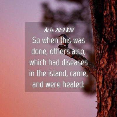 Picture 04 - Acts 28:9 KJV - So when this was done, others also, which had - Bible Verse Picture