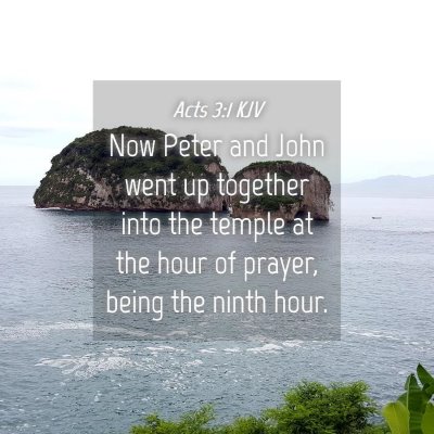 Picture 04 - Acts 3:1 KJV - Now Peter and John went up together into the - Bible Verse Picture