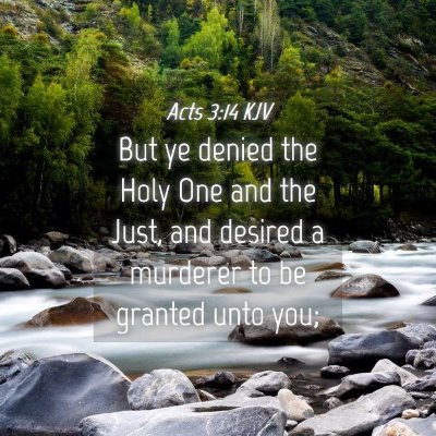 Picture 04 - Acts 3:14 KJV - But ye denied the Holy One and the Just, and - Bible Verse Picture