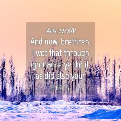 Picture 04 - Acts 3:17 KJV - And now, brethren, I wot that through ignorance - Bible Verse Picture