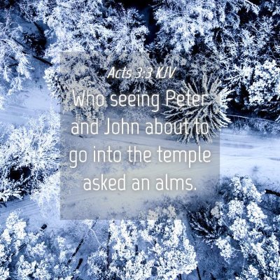 Picture 04 - Acts 3:3 KJV - Who seeing Peter and John about to go into the - Bible Verse Picture