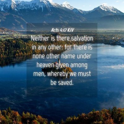 Picture 04 - Acts 4:12 KJV - Neither is there salvation in any other: for - Bible Verse Picture