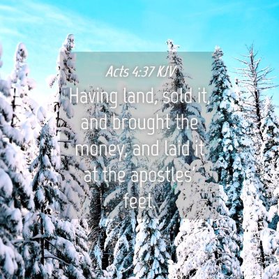 Picture 04 - Acts 4:37 KJV - Having land, sold it, and brought the money, and - Bible Verse Picture
