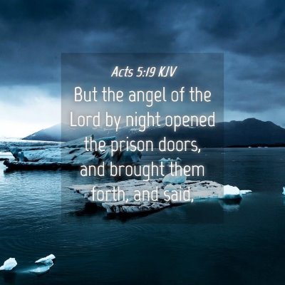 Picture 04 - Acts 5:19 KJV - But the angel of the Lord by night opened the - Bible Verse Picture