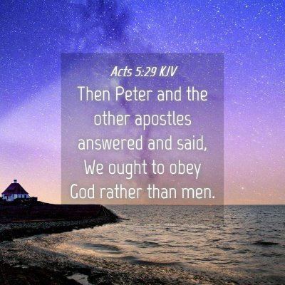 Picture 04 - Acts 5:29 KJV - Then Peter and the other apostles answered and - Bible Verse Picture