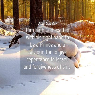 Picture 04 - Acts 5:31 KJV - Him hath God exalted with his right hand to be a - Bible Verse Picture