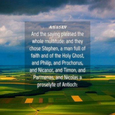 Picture 04 - Acts 6:5 KJV - And the saying pleased the whole multitude: and - Bible Verse Picture