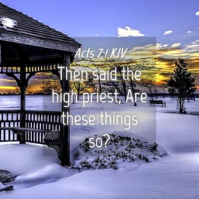Picture 04 - Acts 7:1 KJV - Then said the high priest, Are these things - Bible Verse Picture