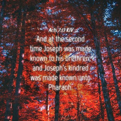 Picture 04 - Acts 7:13 KJV - And at the second time Joseph was made known to - Bible Verse Picture