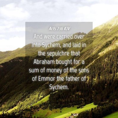 Picture 04 - Acts 7:16 KJV - And were carried over into Sychem, and laid in - Bible Verse Picture