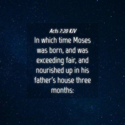 Picture 04 - Acts 7:20 KJV - In which time Moses was born, and was exceeding - Bible Verse Picture