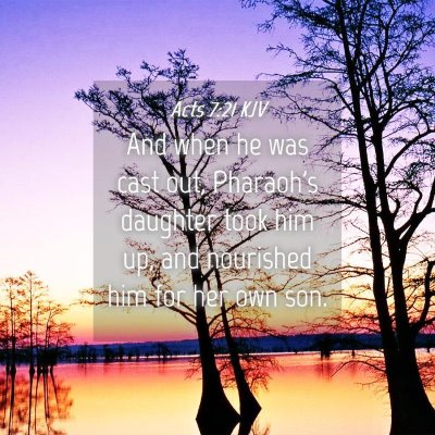 Picture 04 - Acts 7:21 KJV - And when he was cast out, Pharaoh's daughter took - Bible Verse Picture