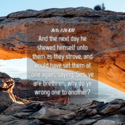 Picture 04 - Acts 7:26 KJV - And the next day he shewed himself unto them as - Bible Verse Picture