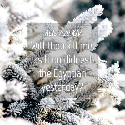 Picture 04 - Acts 7:28 KJV - Wilt thou kill me, as thou diddest the Egyptian - Bible Verse Picture
