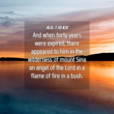 Picture 04 - Acts 7:30 KJV - And when forty years were expired, there appeared - Bible Verse Picture