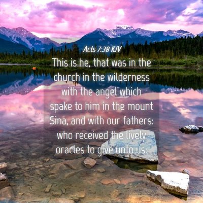 Picture 04 - Acts 7:38 KJV - This is he, that was in the church in the - Bible Verse Picture
