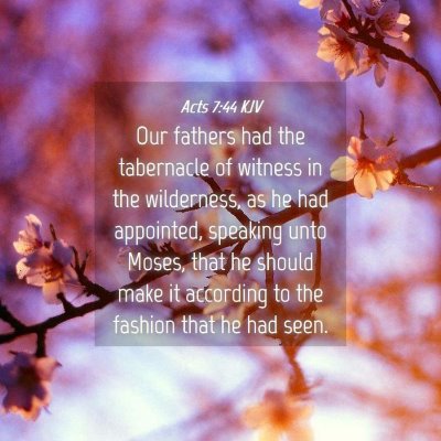 Picture 04 - Acts 7:44 KJV - Our fathers had the tabernacle of witness in the - Bible Verse Picture
