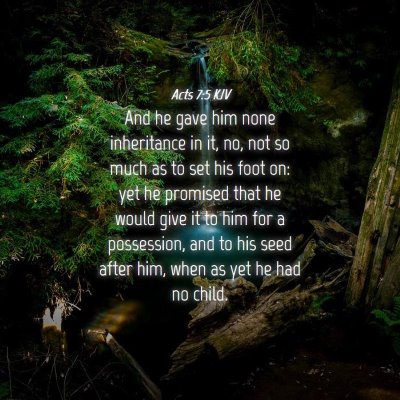 Picture 04 - Acts 7:5 KJV - And he gave him none inheritance in it, no, not - Bible Verse Picture