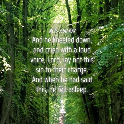 Picture 04 - Acts 7:60 KJV - And he kneeled down, and cried with a loud voice, - Bible Verse Picture