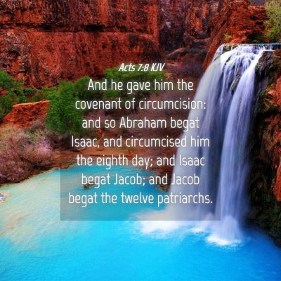 Picture 04 - Acts 7:8 KJV - And he gave him the covenant of circumcision: and - Bible Verse Picture