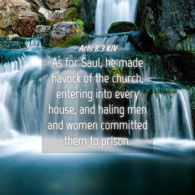 Picture 04 - Acts 8:3 KJV - As for Saul, he made havock of the church, - Bible Verse Picture