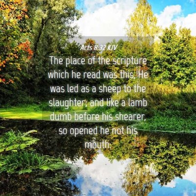 Picture 04 - Acts 8:32 KJV - The place of the scripture which he read was - Bible Verse Picture