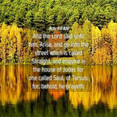 Picture 04 - Acts 9:11 KJV - And the Lord said unto him, Arise, and go into - Bible Verse Picture