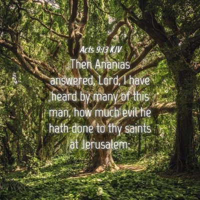 Picture 04 - Acts 9:13 KJV - Then Ananias answered, Lord, I have heard by many - Bible Verse Picture