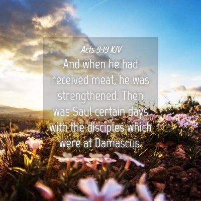 Picture 04 - Acts 9:19 KJV - And when he had received meat, he was - Bible Verse Picture