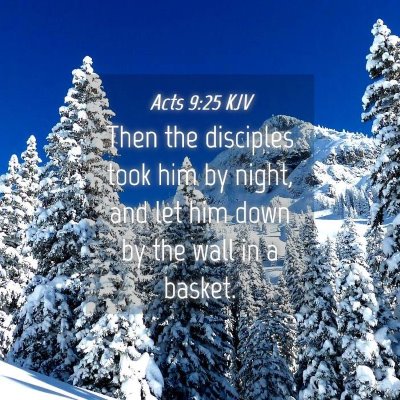 Picture 04 - Acts 9:25 KJV - Then the disciples took him by night, and let him - Bible Verse Picture