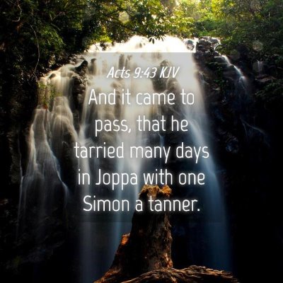 Picture 04 - Acts 9:43 KJV - And it came to pass, that he tarried many days in - Bible Verse Picture